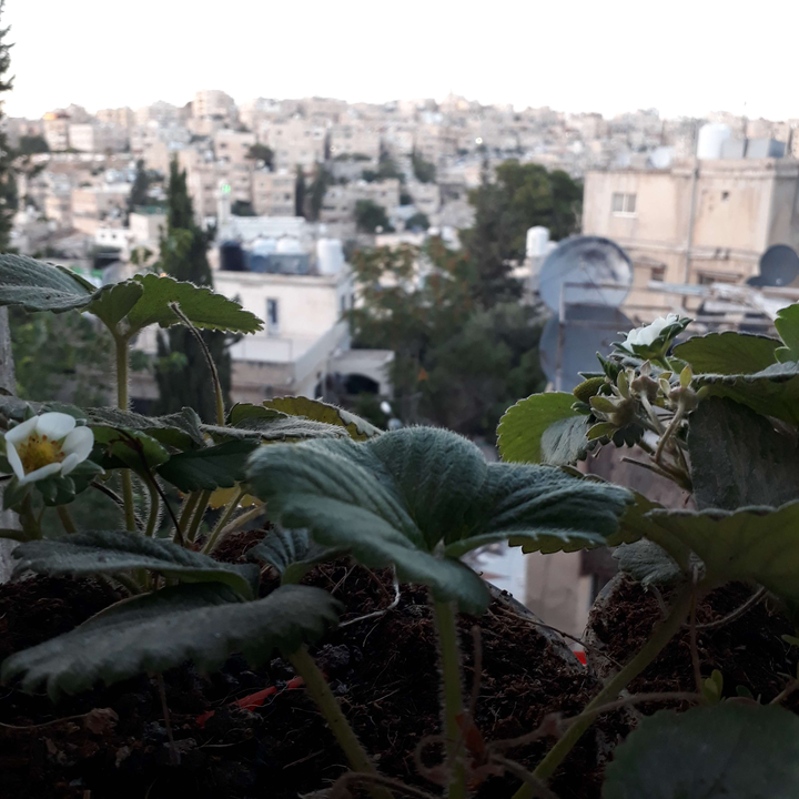 My Crowdsourcing Posts