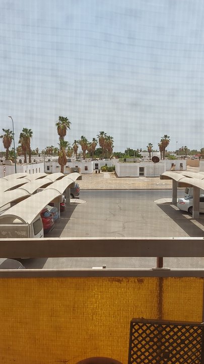 مشاركاتي في أنت الراصد