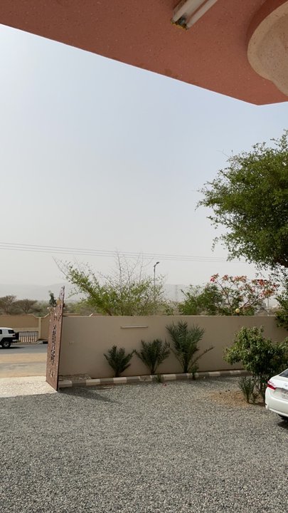 مشاركاتي في أنت الراصد