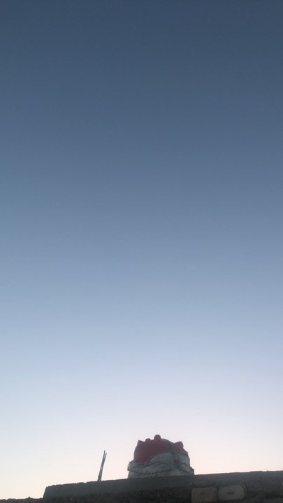 مشاركاتي في أنت الراصد