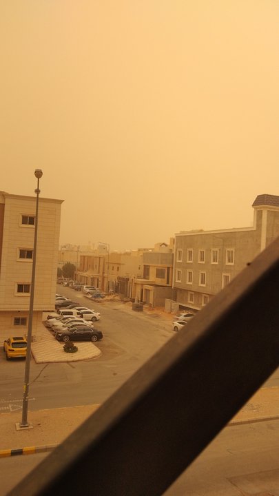 مشاركاتي في أنت الراصد