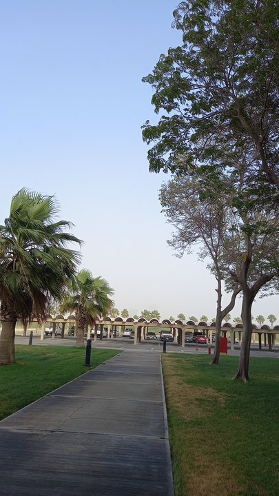 مشاركاتي في أنت الراصد