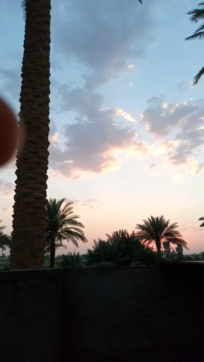 مشاركاتي في أنت الراصد