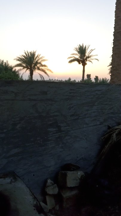 My Crowdsourcing Posts