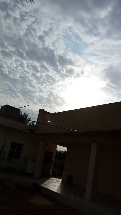 مشاركاتي في أنت الراصد