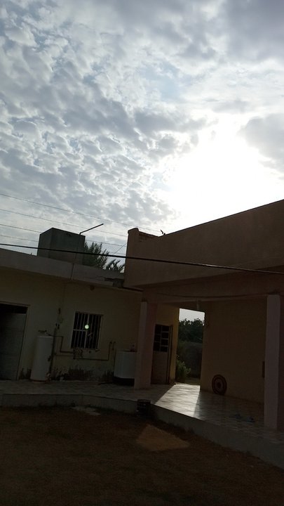 مشاركاتي في أنت الراصد