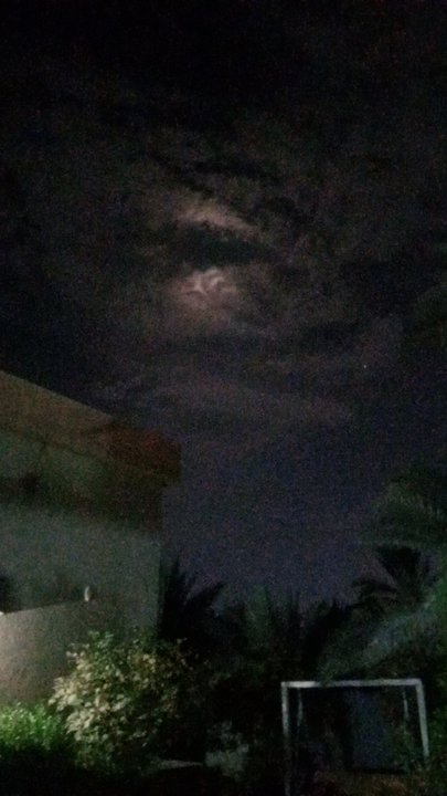 مشاركاتي في أنت الراصد