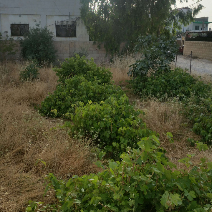 My Crowdsourcing Posts