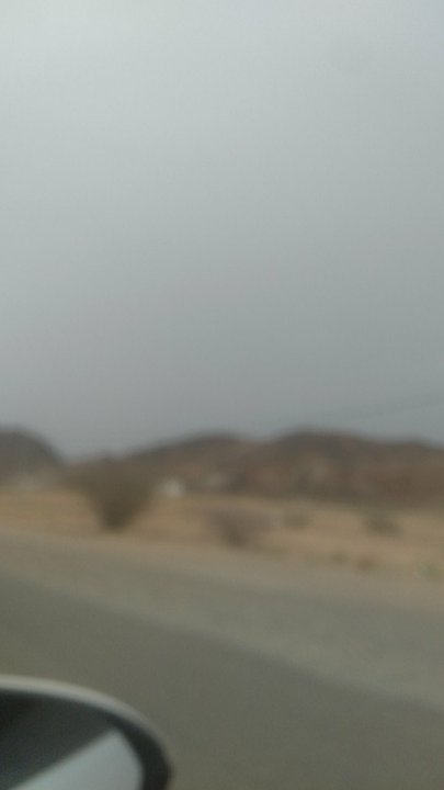 مشاركاتي في أنت الراصد