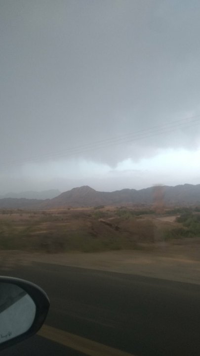 مشاركاتي في أنت الراصد