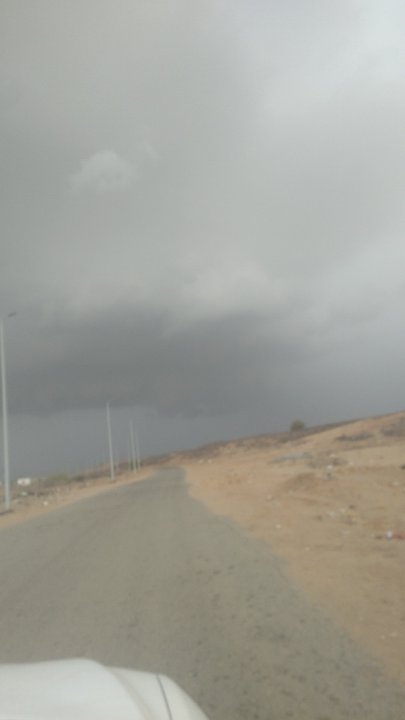 مشاركاتي في أنت الراصد