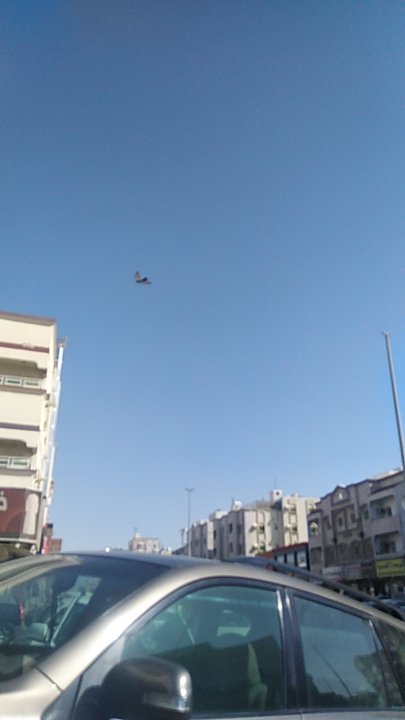 مشاركاتي في أنت الراصد