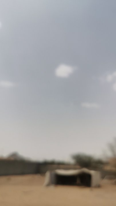 مشاركاتي في أنت الراصد