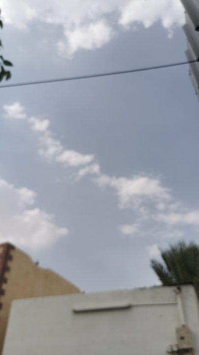 مشاركاتي في أنت الراصد