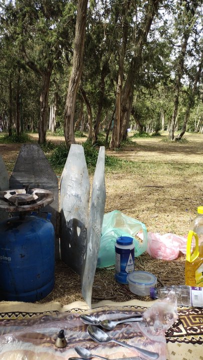 مشاركاتي في أنت الراصد