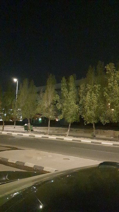 مشاركاتي في أنت الراصد