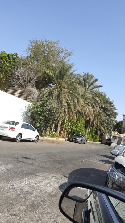 مشاركاتي في أنت الراصد