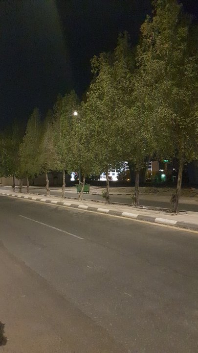 مشاركاتي في أنت الراصد