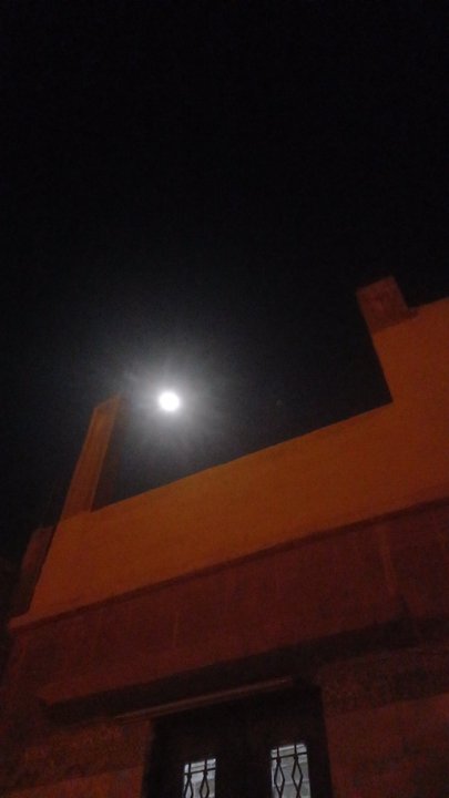 مشاركاتي في أنت الراصد