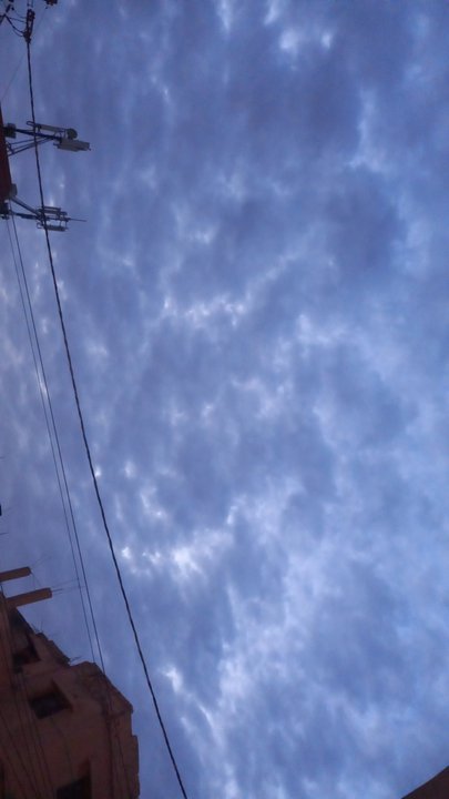 مشاركاتي في أنت الراصد