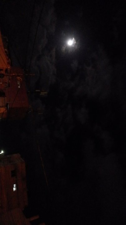 مشاركاتي في أنت الراصد