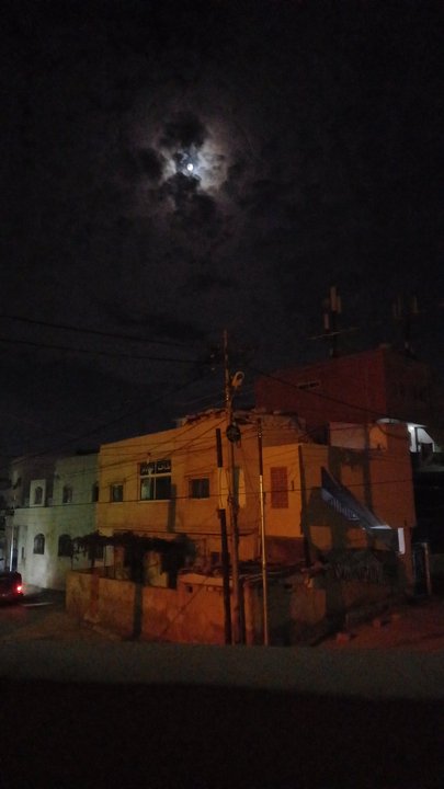 مشاركاتي في أنت الراصد