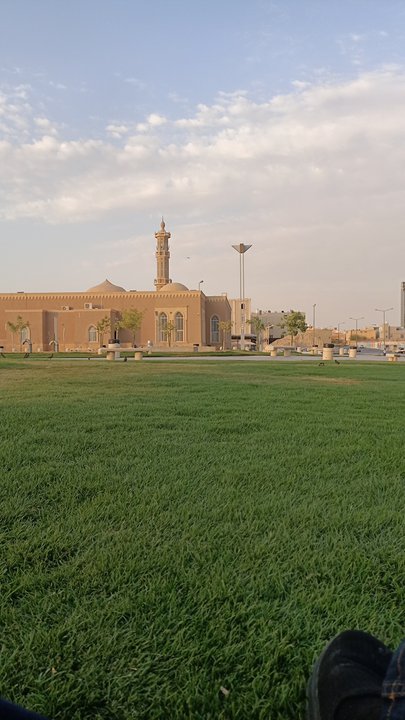 مشاركاتي في أنت الراصد