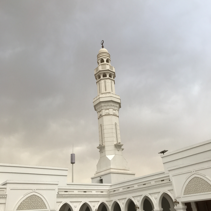 مشاركاتي في أنت الراصد