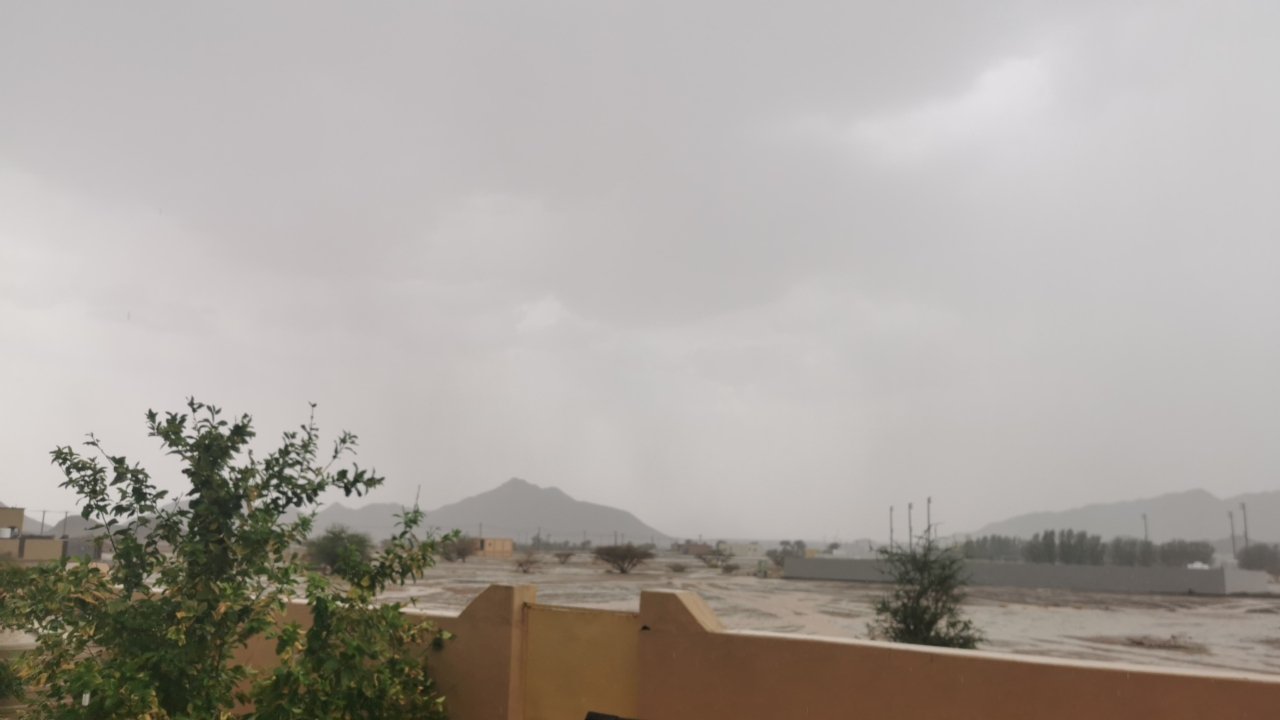 مشاركاتي في أنت الراصد