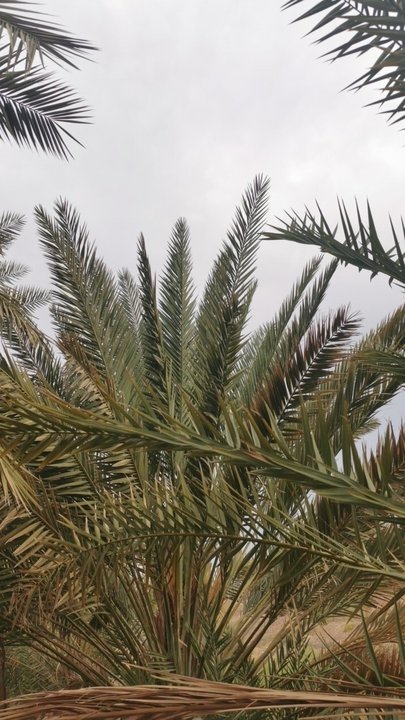 My Crowdsourcing Posts