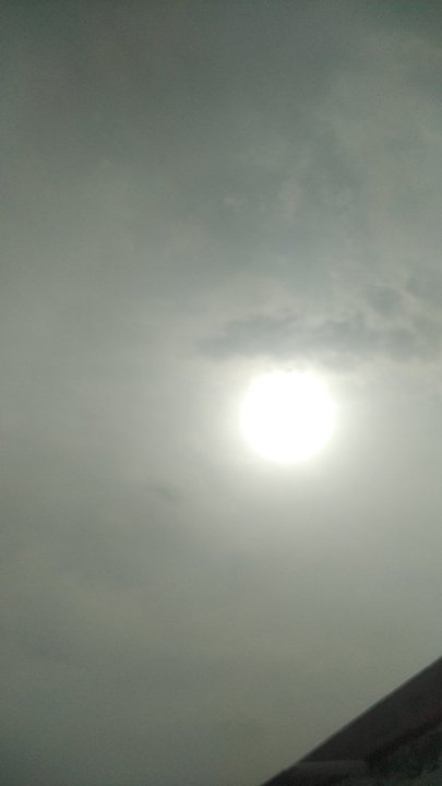 مشاركاتي في أنت الراصد