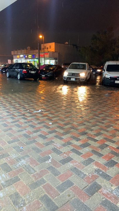 مشاركاتي في أنت الراصد