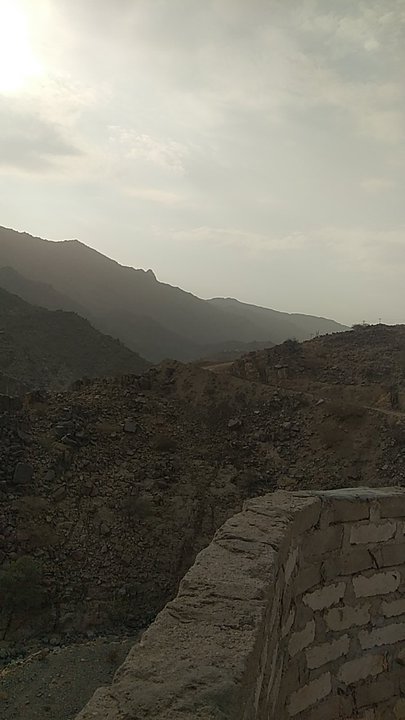 مشاركاتي في أنت الراصد