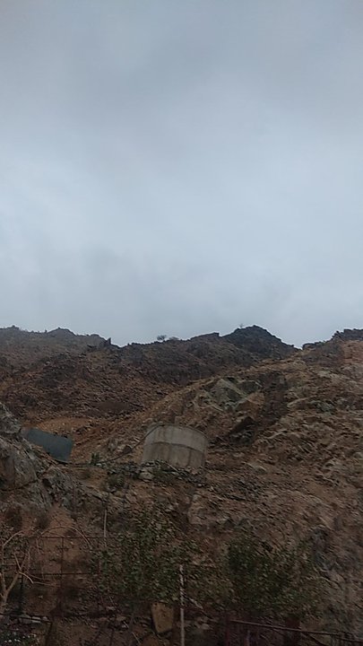 مشاركاتي في أنت الراصد