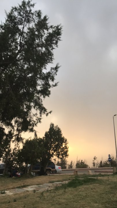 مشاركاتي في أنت الراصد