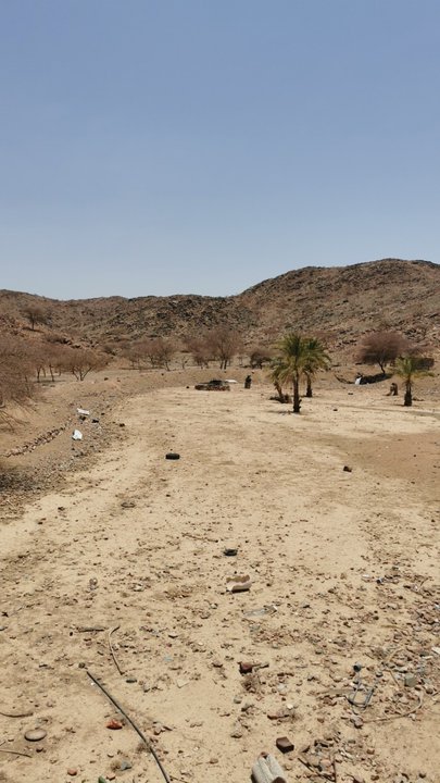 مشاركاتي في أنت الراصد