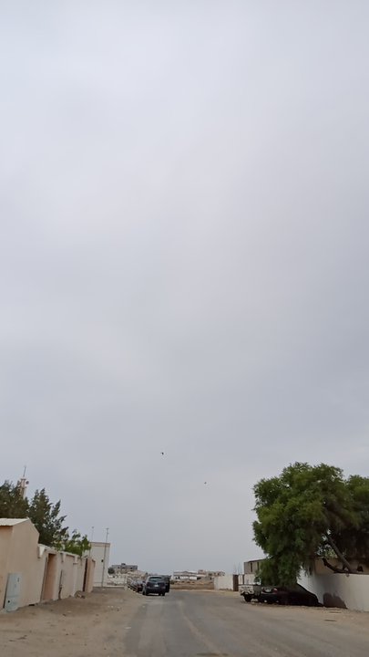 مشاركاتي في أنت الراصد