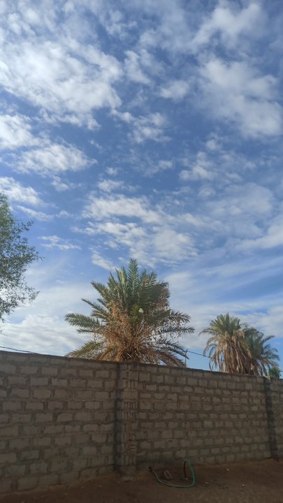 مشاركاتي في أنت الراصد