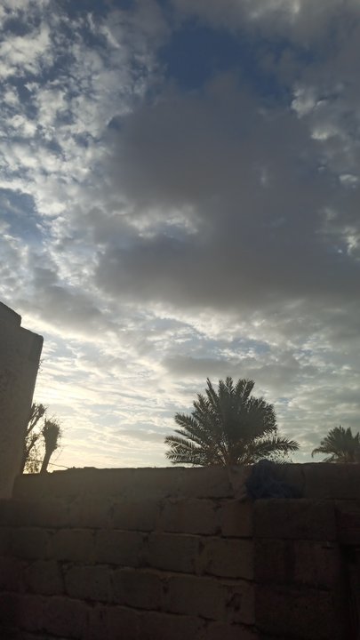 مشاركاتي في أنت الراصد