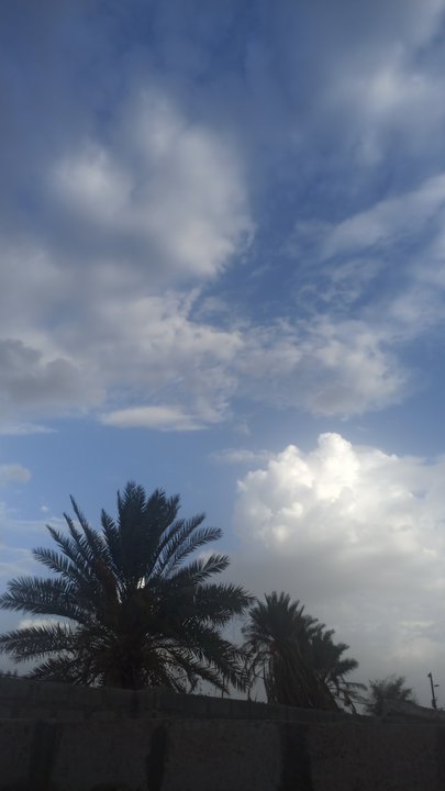 مشاركاتي في أنت الراصد