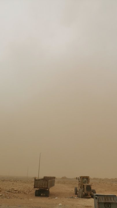 مشاركاتي في أنت الراصد