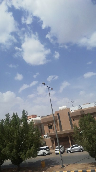 مشاركاتي في أنت الراصد