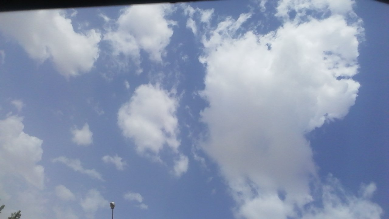 مشاركاتي في أنت الراصد