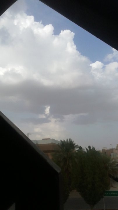 مشاركاتي في أنت الراصد