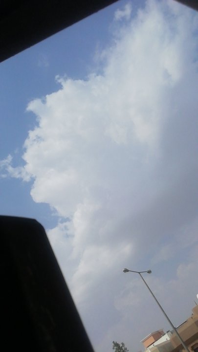 مشاركاتي في أنت الراصد