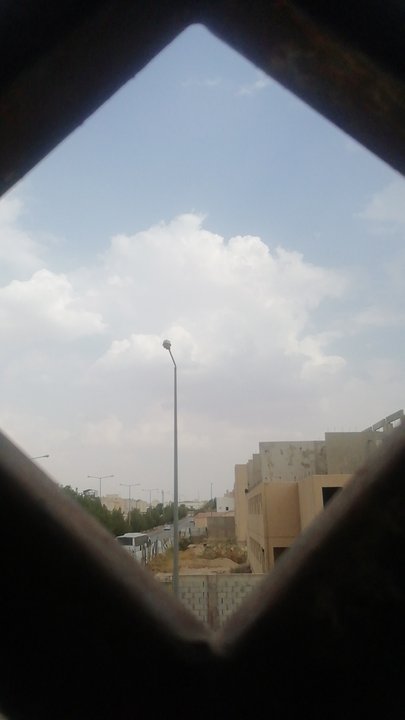 مشاركاتي في أنت الراصد