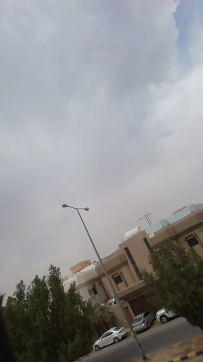 مشاركاتي في أنت الراصد