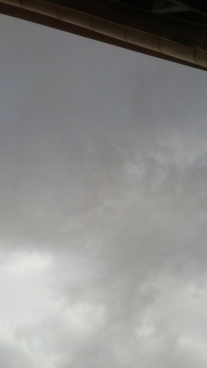 مشاركاتي في أنت الراصد