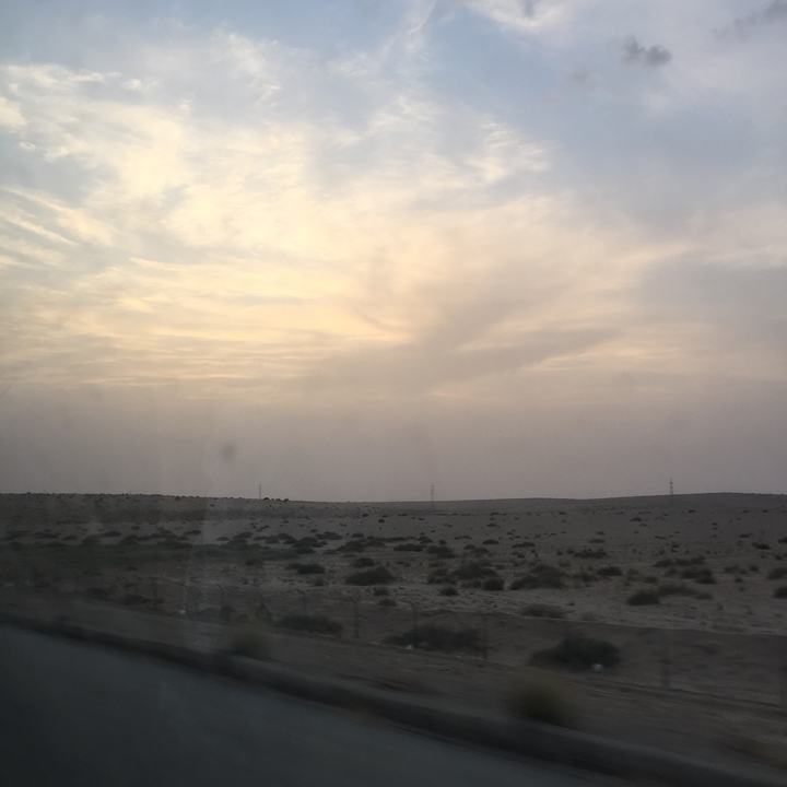 مشاركاتي في أنت الراصد