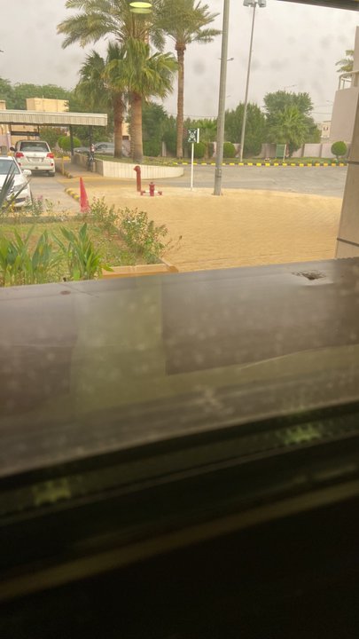 مشاركاتي في أنت الراصد